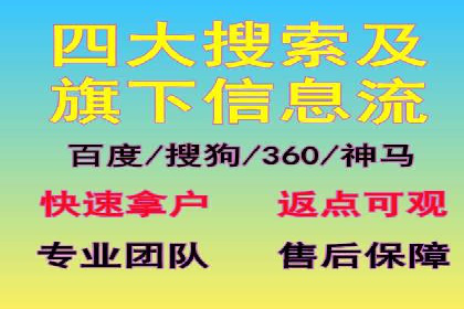 成功运用SEM服务实现品牌推广的案例分析